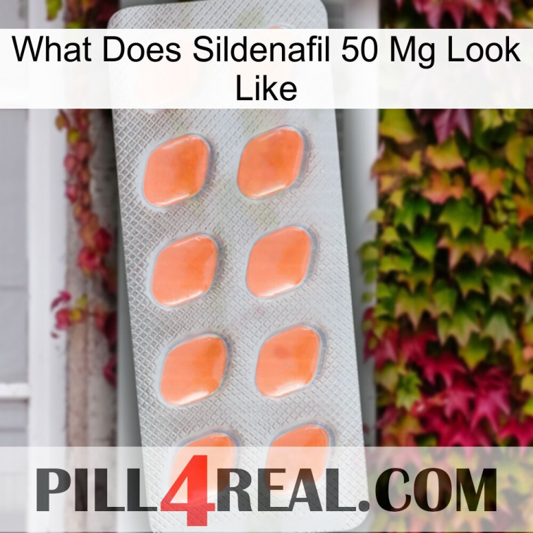 What Does Sildenafil 50 Mg Look Like 26